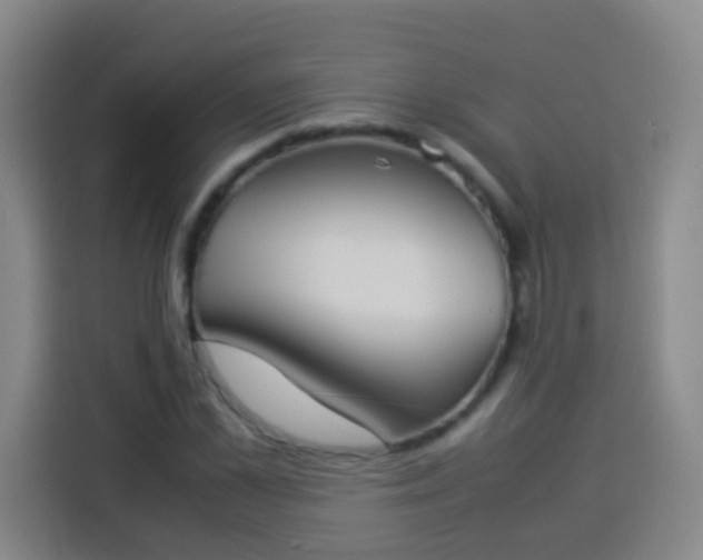 X0000113930973200910021239