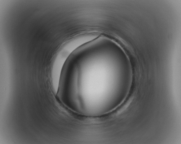 X0000113930977200910021239