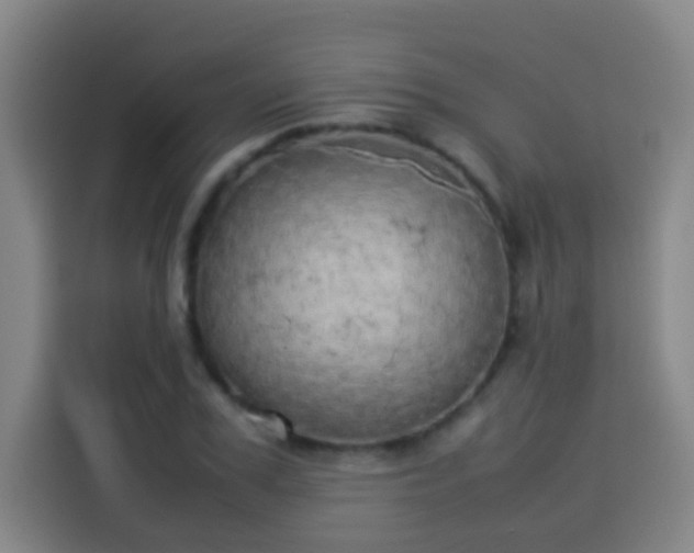 X0000113930979200910021239