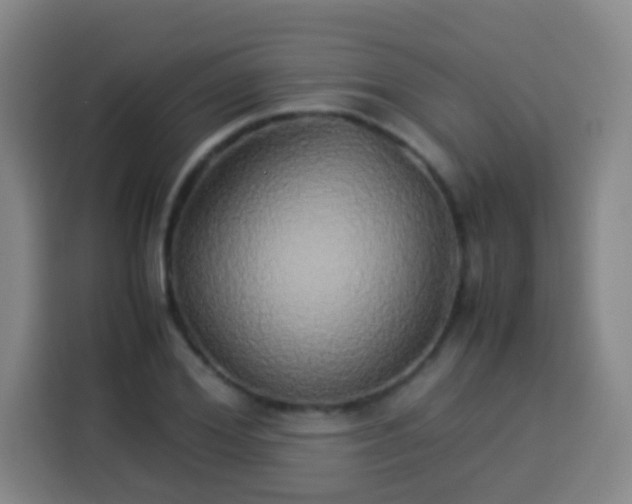 X0000113930980200910021239