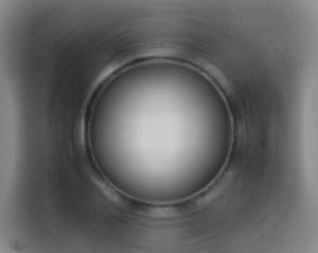 X0000113930982200910021239