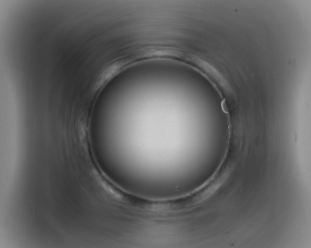 X0000113930985200910021239