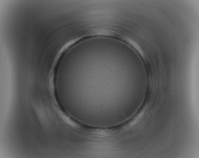 X0000113930987200910021239