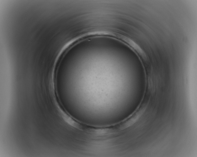 X0000113930988200910021239