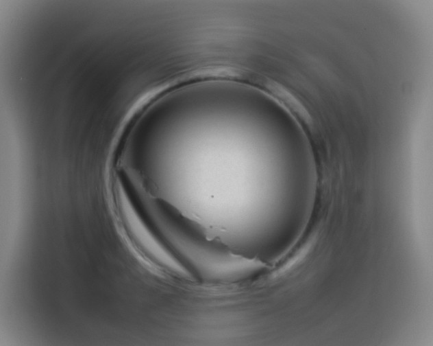 X0000113930989200910021239