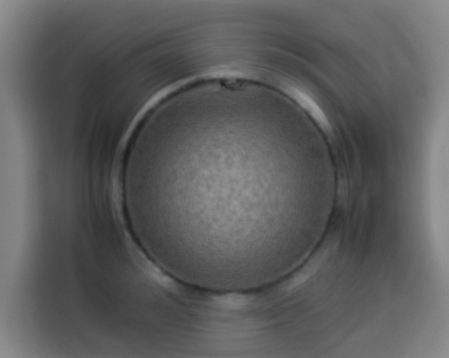 X0000113930992200910021239