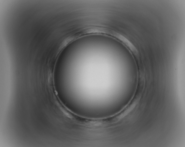 X0000113930993200910021239