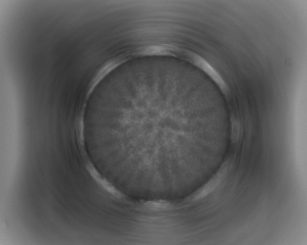 X0000113930994200910021239