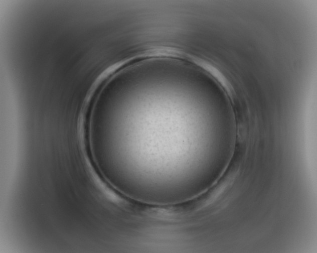 X0000113930995200910021239