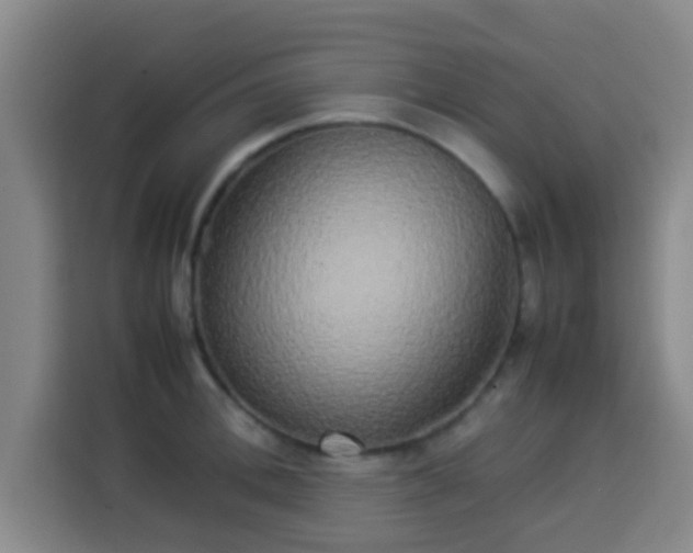 X0000113930996200910021239