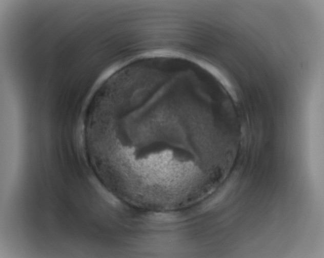 X0000113930998200910021239