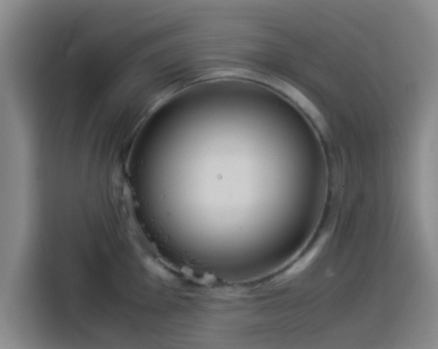 X0000113931001200910021238