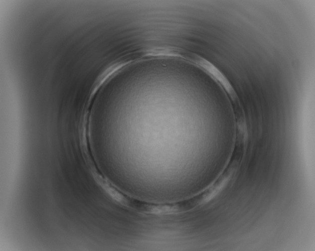 X0000113931002200910021238
