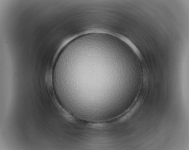 X0000113931004200910021238