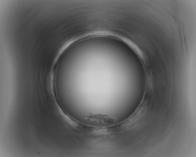 X0000113931006200910021238