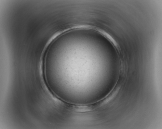 X0000113931007200910021238