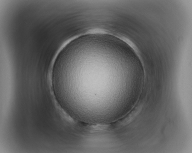 X0000113931008200910021238