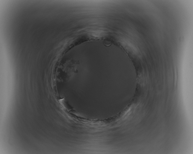 X0000113931009200910021238