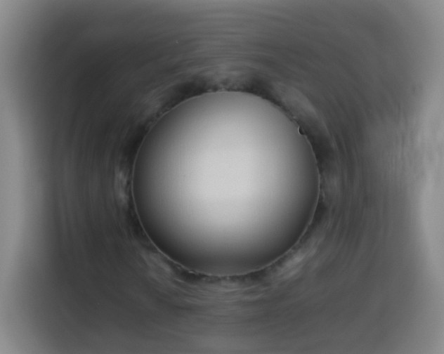 X0000113931010200910021238