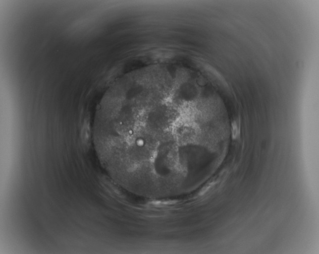 X0000113931011200910021238