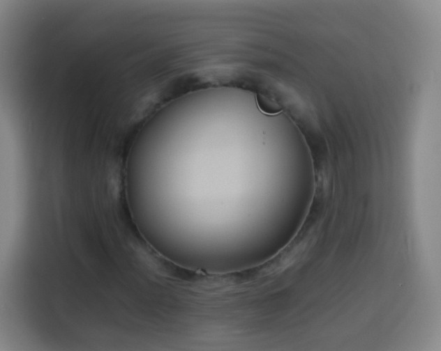 X0000113931012200910021238