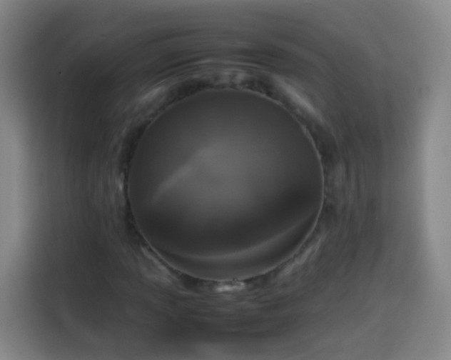 X0000113931013200910021238