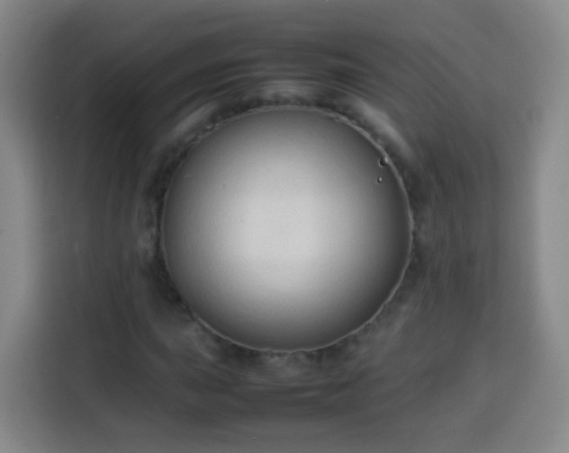 X0000113931015200910021238