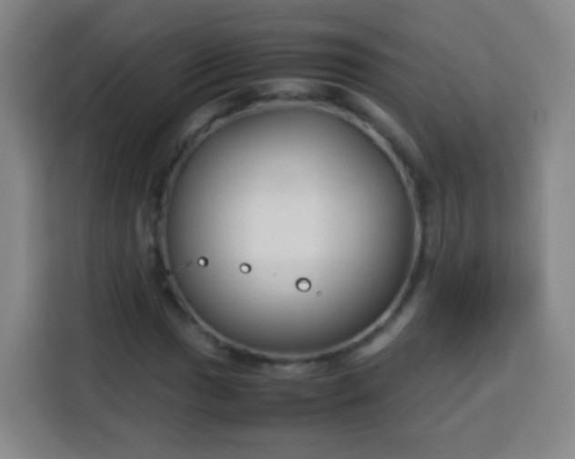 X0000113931017200910021238