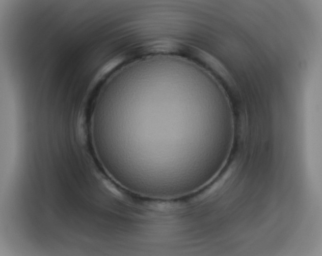 X0000113931018200910021238