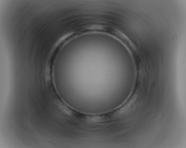 X0000113931019200910021238