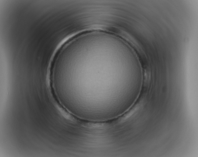 X0000113931020200910021238