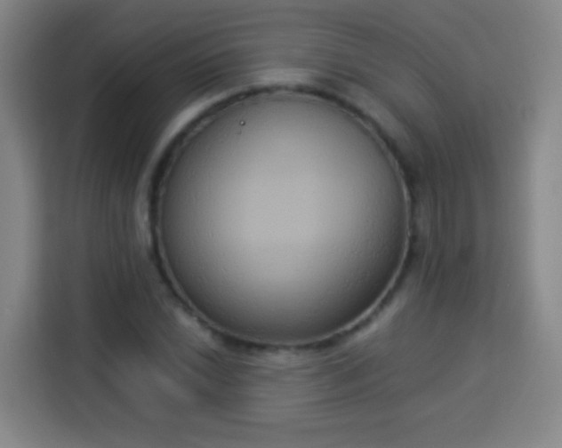 X0000113931022200910021238
