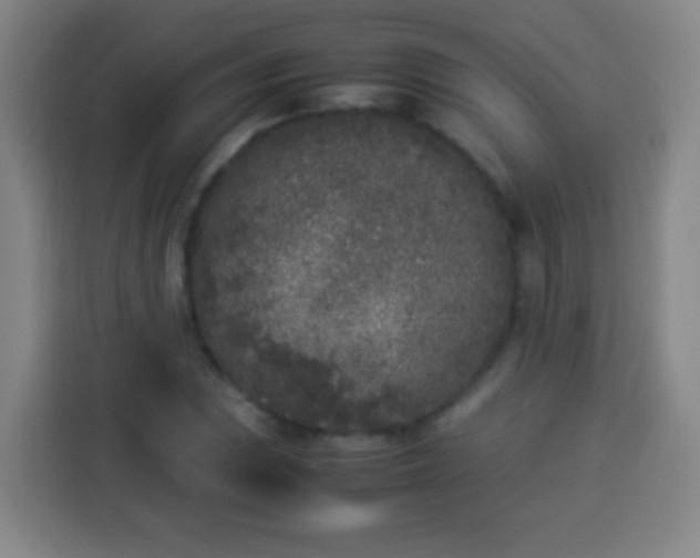 X0000113931023200910021238
