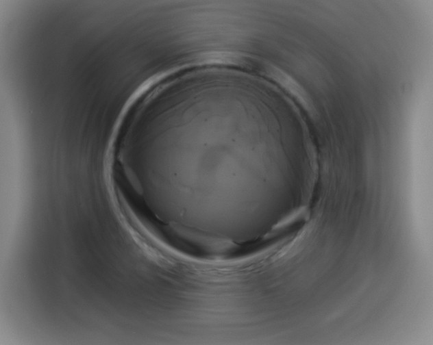 X0000113931024200910021238