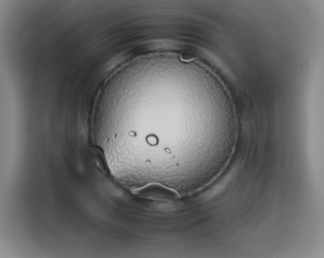 X0000113931025200910021238