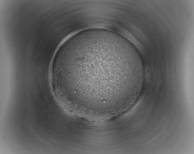 X0000113931028200910021238