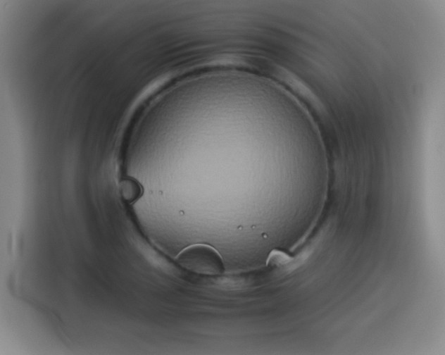 X0000113931029200910021238