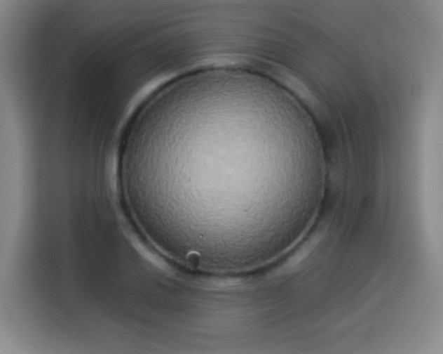 X0000113931030200910021238