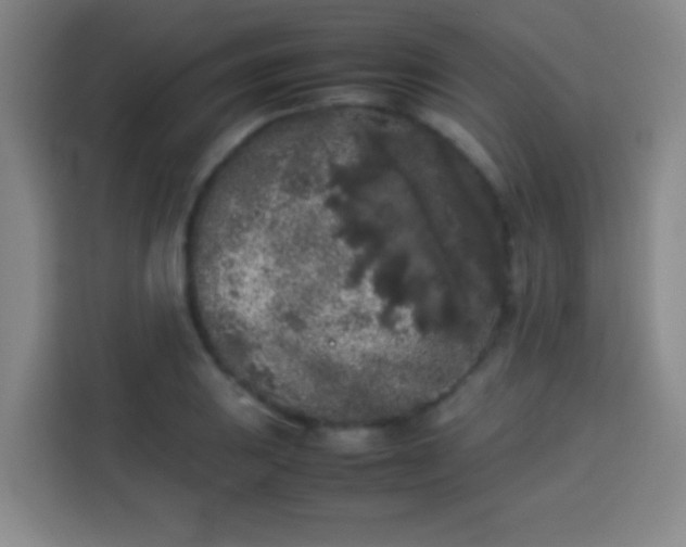 X0000113931031200910021238
