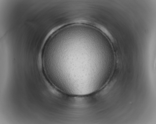 X0000113931032200910021238