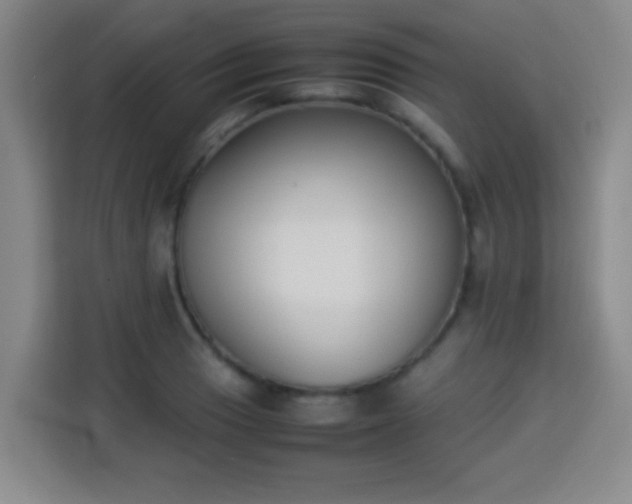 X0000113931033200910021238