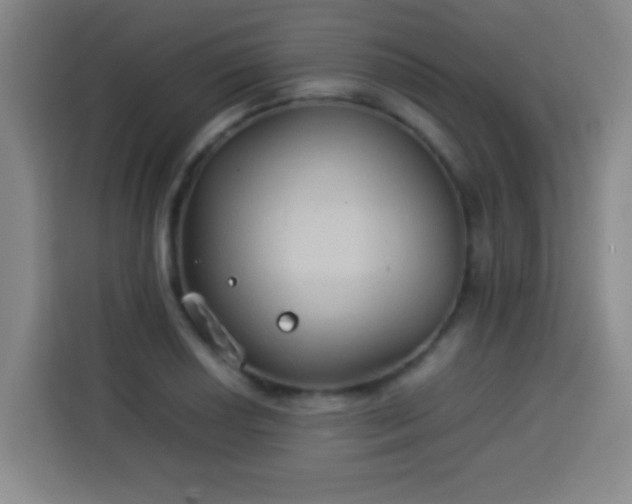 X0000113931034200910021238