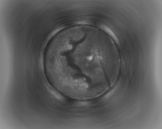 X0000113931035200910021238
