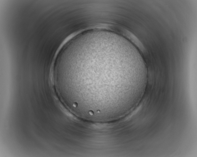 X0000113931036200910021238