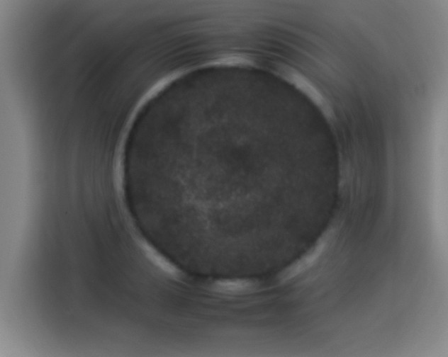 X0000113931037200910021238
