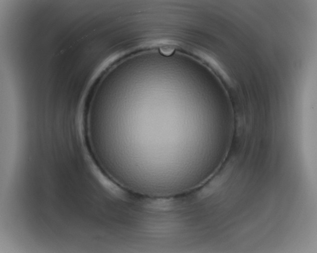 X0000113931038200910021238