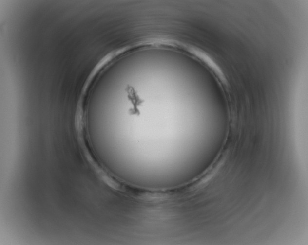 X0000113931040200910021238