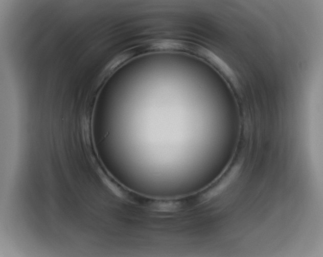 X0000113931041200910021238