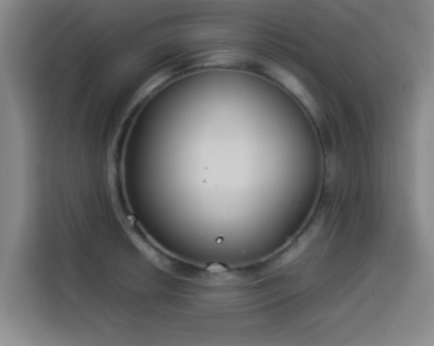 X0000113931042200910021238