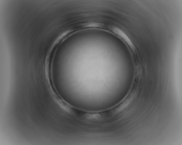 X0000113931043200910021238
